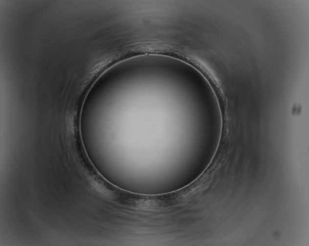 X0000102480105200808081314