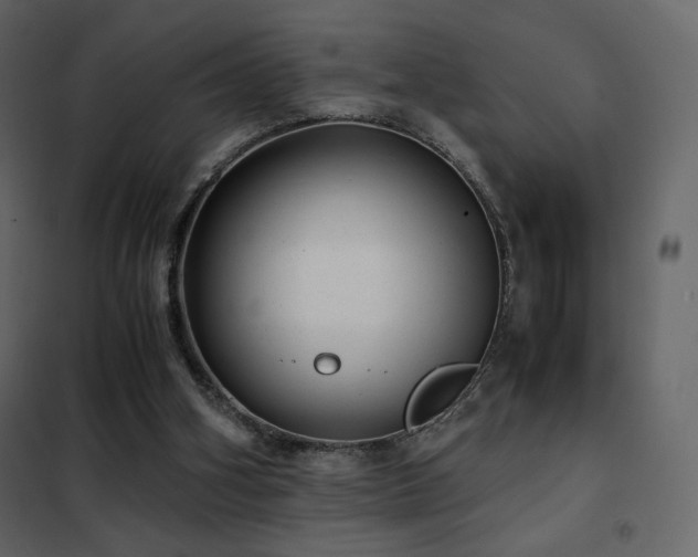 X0000102480106200808081314