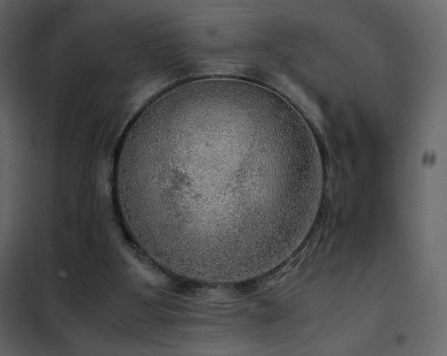 X0000102480107200808081314