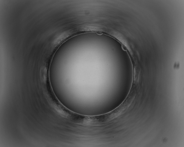 X0000102480109200808081314