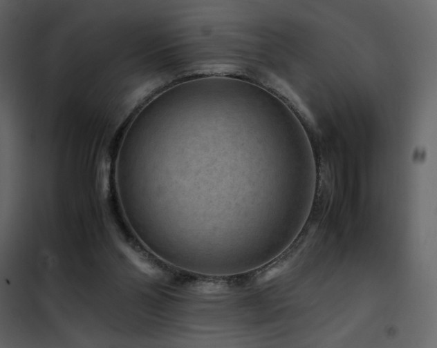 X0000102480110200808081314