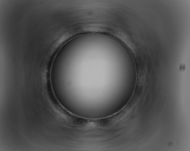 X0000102480111200808081314