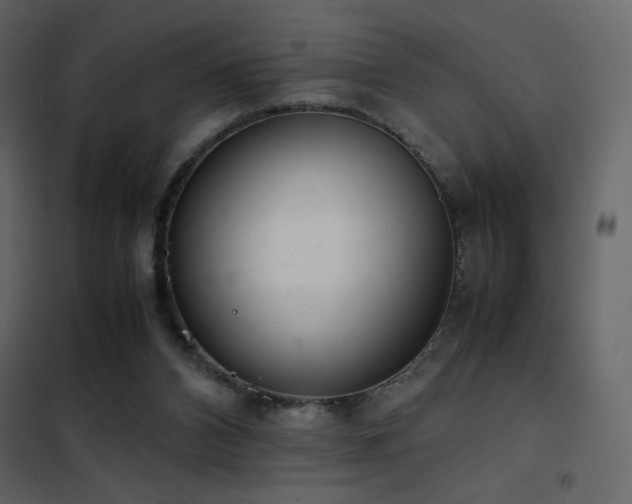 X0000102480112200808081314