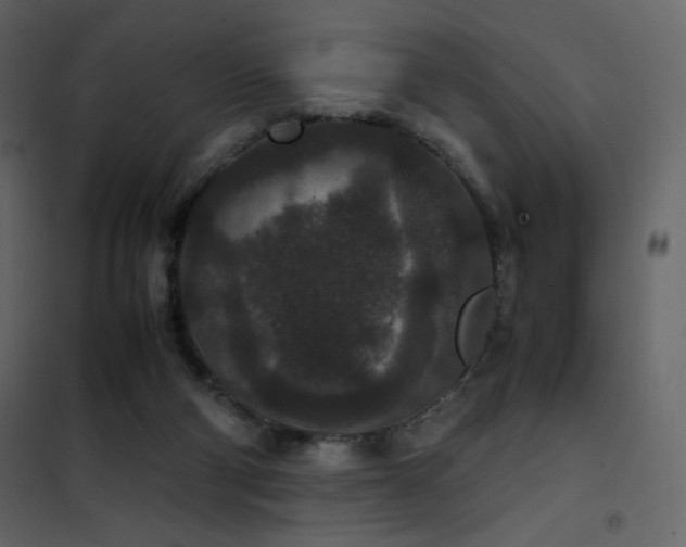 X0000102480114200808081314