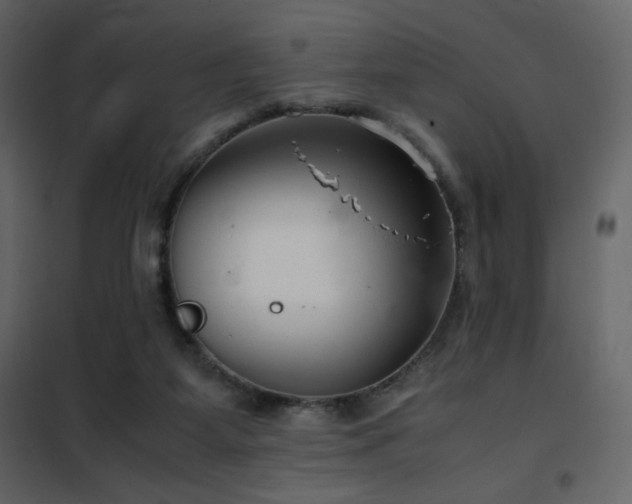 X0000102480115200808081314