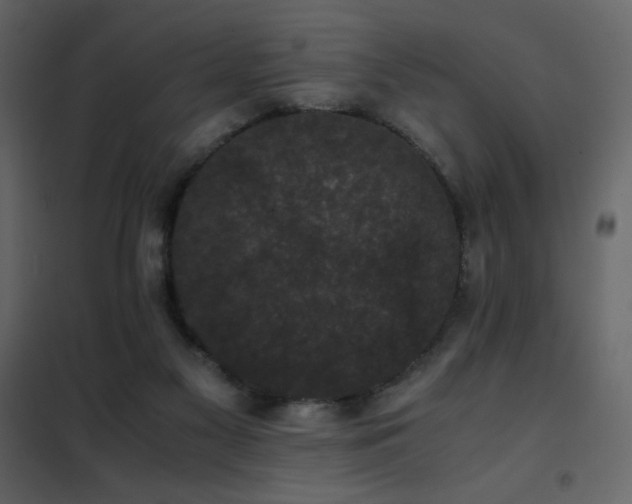 X0000102480117200808081314