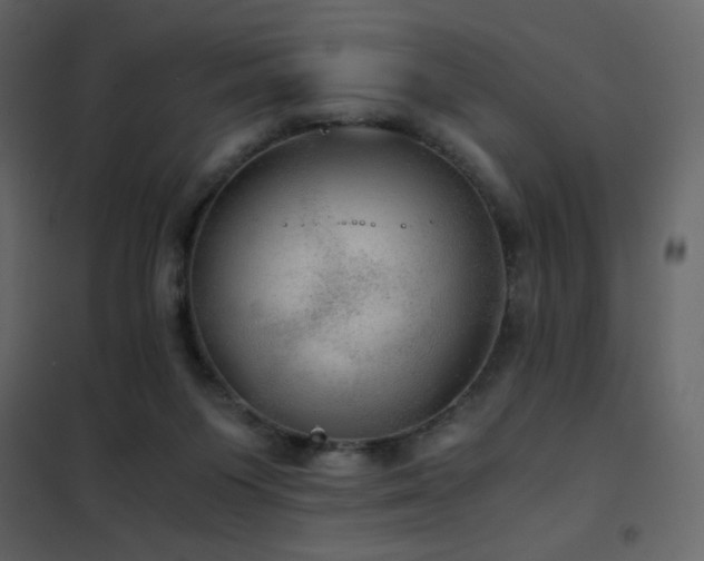 X0000102480119200808081314