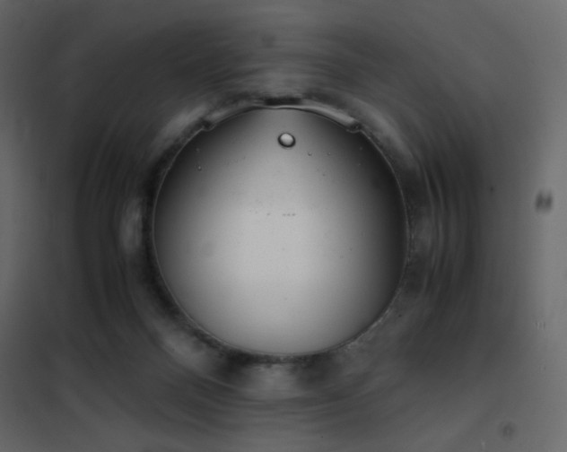 X0000102480120200808081314