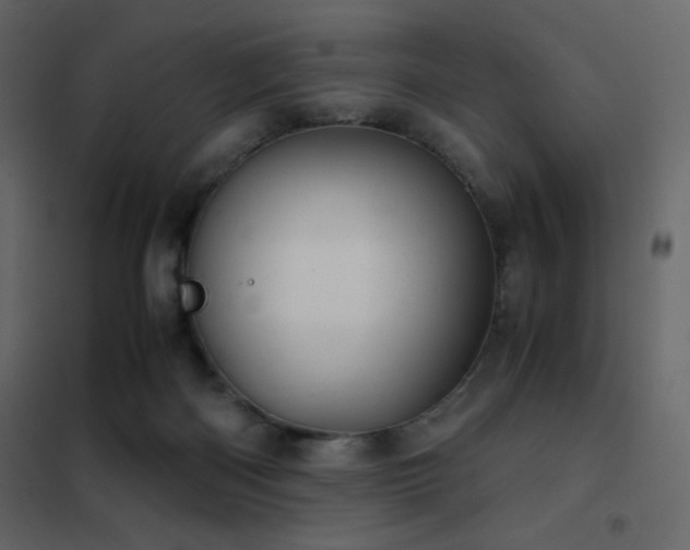 X0000102480122200808081314