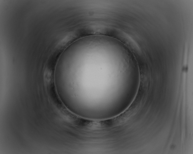 X0000102480123200808081314