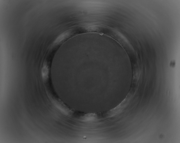 X0000102480124200808081314