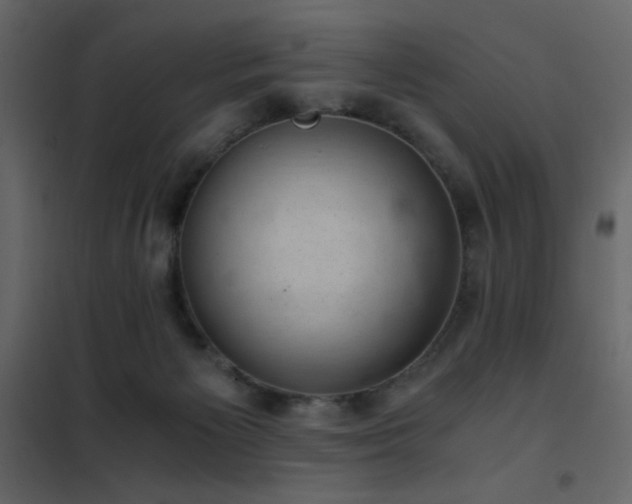 X0000102480125200808081314