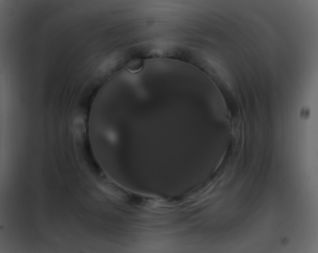 X0000102480127200808081314