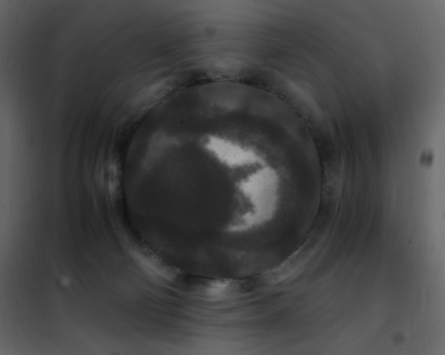 X0000102480130200808081314