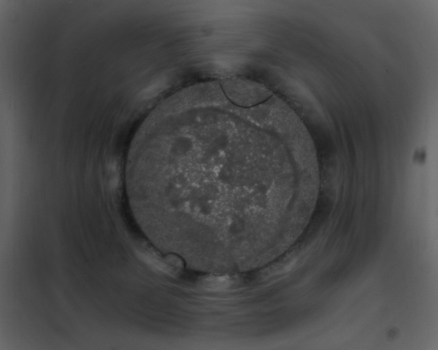 X0000102480131200808081314