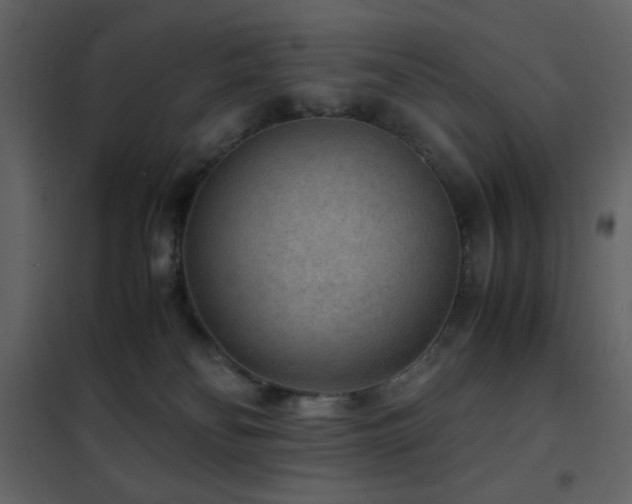 X0000102480134200808081314