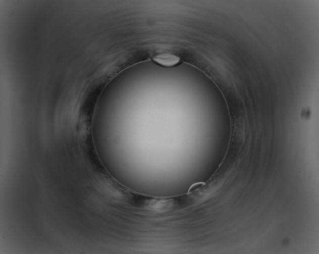 X0000102480135200808081314