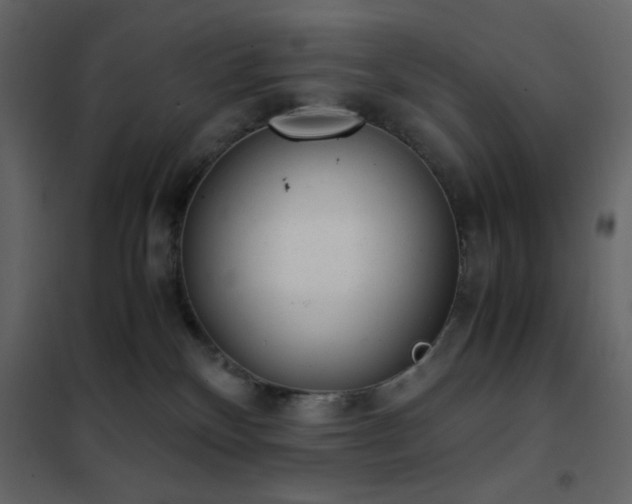 X0000102480136200808081314