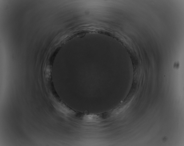 X0000102480137200808081314