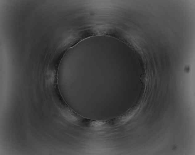 X0000102480139200808081314