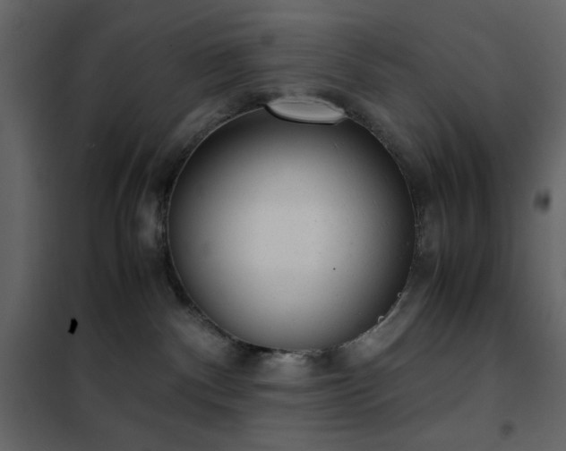 X0000102480140200808081314