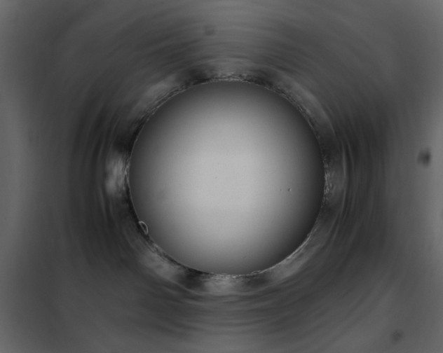 X0000102480142200808081314