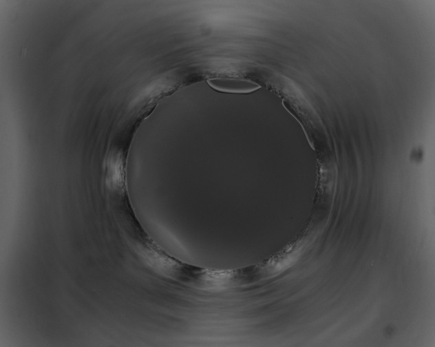 X0000102480143200808081314