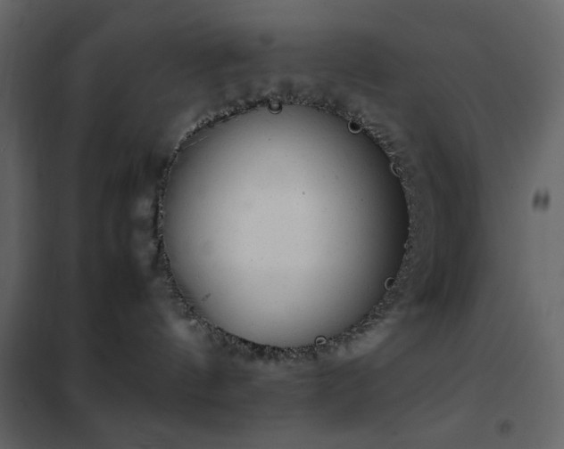 X0000102480144200808081314