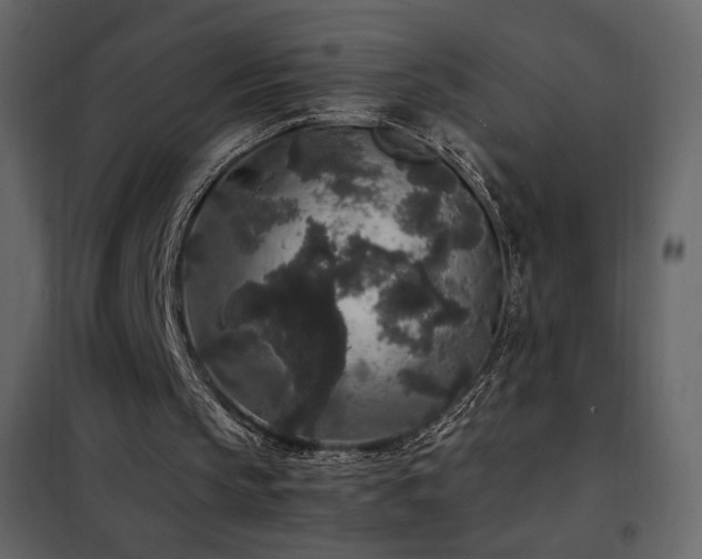 X0000102480145200808081313