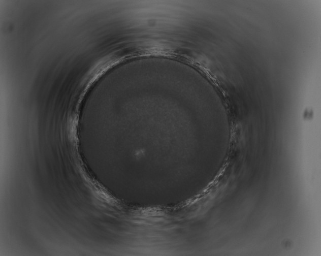 X0000102480146200808081313