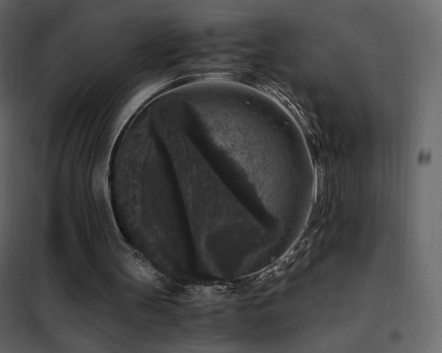 X0000102480147200808081313