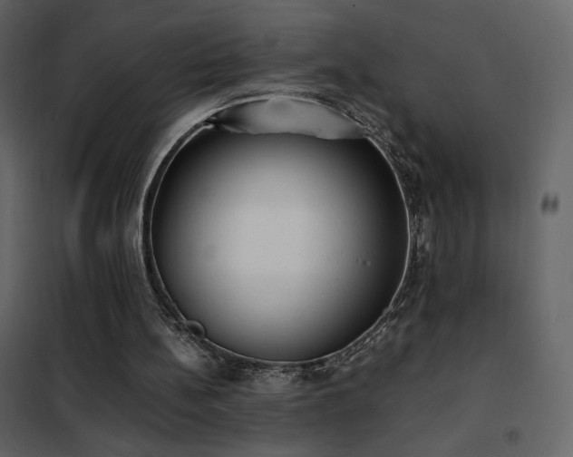 X0000102480148200808081313