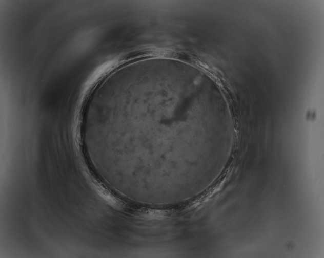 X0000102480149200808081313