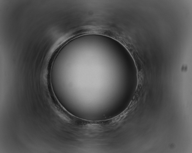 X0000102480150200808081313