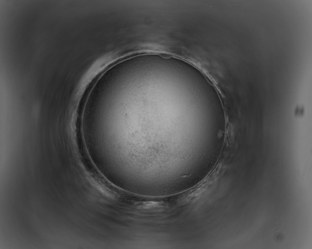 X0000102480151200808081313