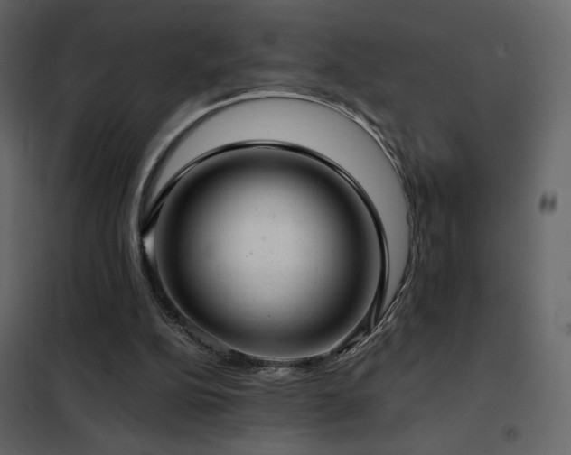 X0000102480152200808081313