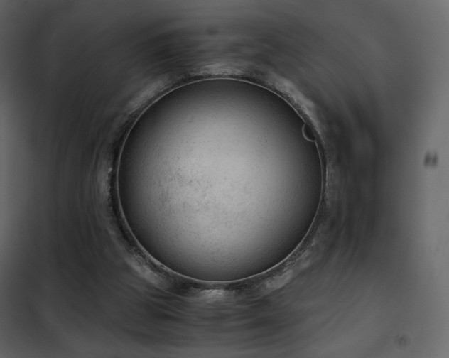 X0000102480153200808081313