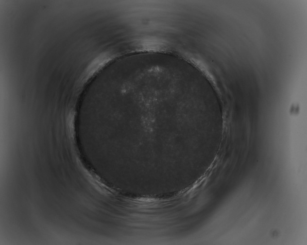 X0000102480154200808081313