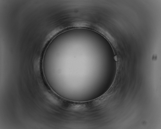 X0000102480155200808081313