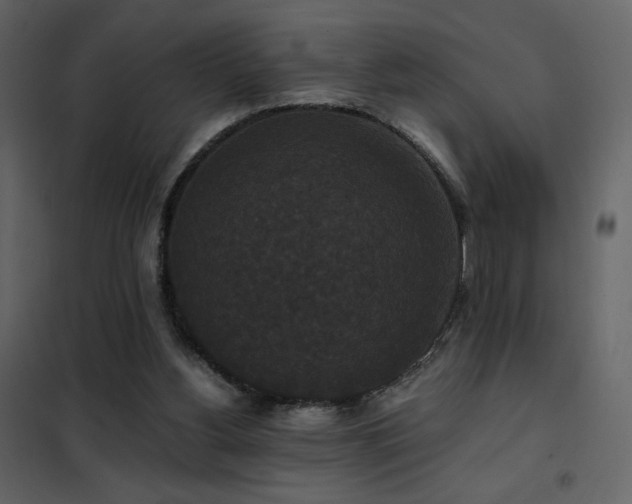 X0000102480156200808081313