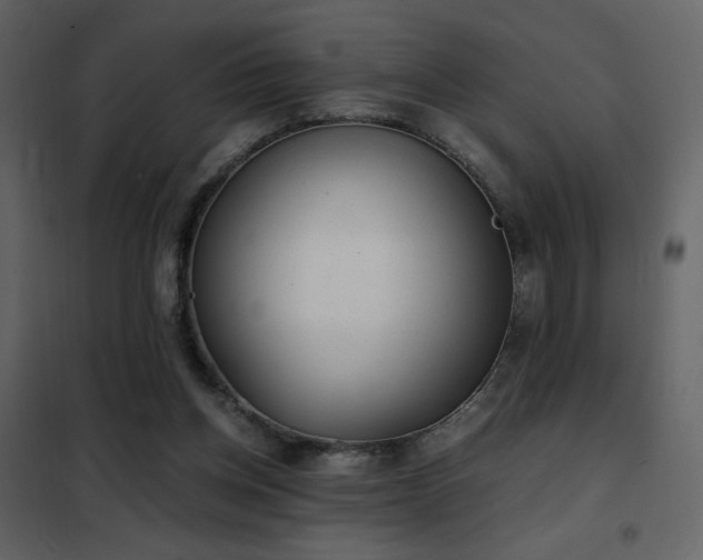 X0000102480158200808081313