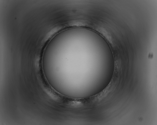 X0000102480159200808081313