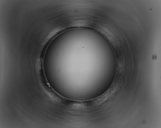 X0000102480160200808081313