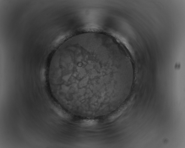 X0000102480161200808081313