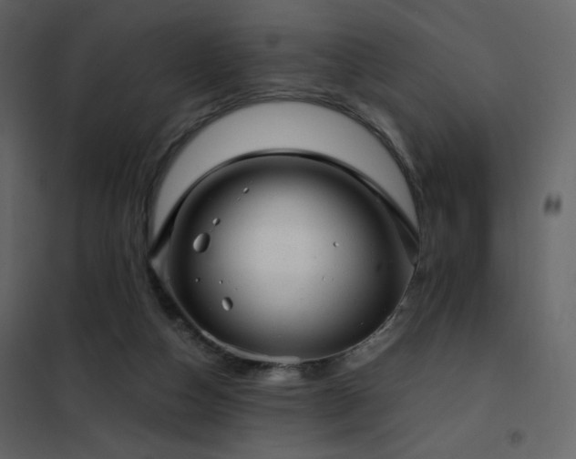 X0000102480162200808081313