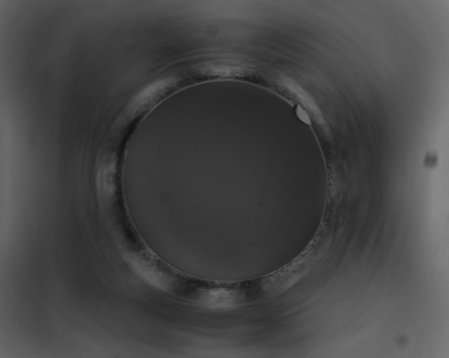 X0000102480163200808081313