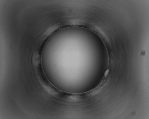 X0000102480164200808081313