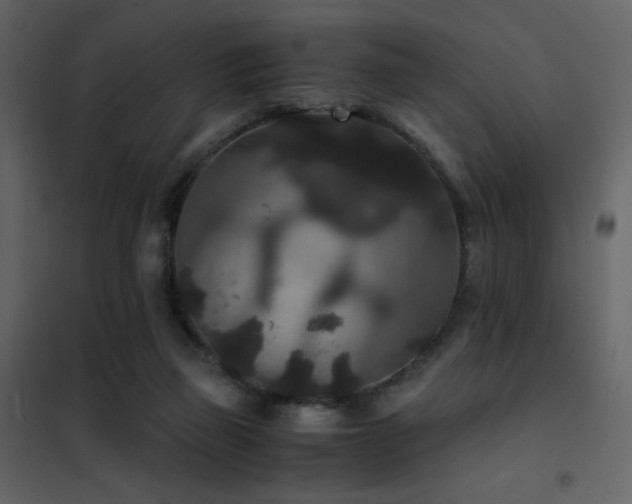 X0000102480165200808081313