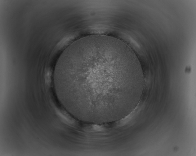 X0000102480166200808081313