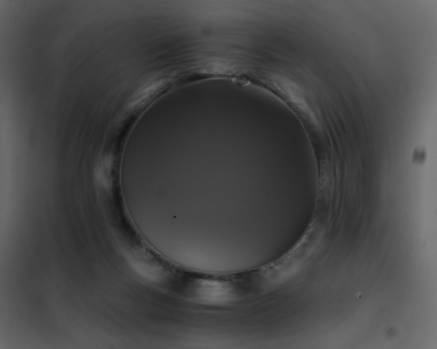 X0000102480167200808081313